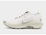 Nike Pegasus Trail 5 GORE-TEX Homme