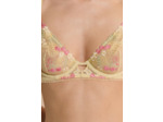 Soutien-gorge classique avec motifs fruits brodés,Soutien-gorge classique avec motifs fruits brodés;${refinementColor}