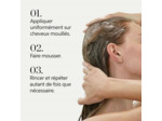 Shampooing régénérant pour cuirs chevelus normaux à gras Renewing Elements 250ml