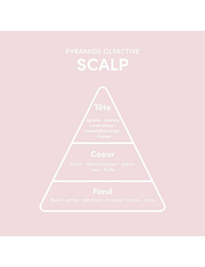 Sérum pousse cheveux Scalp Growth Hair