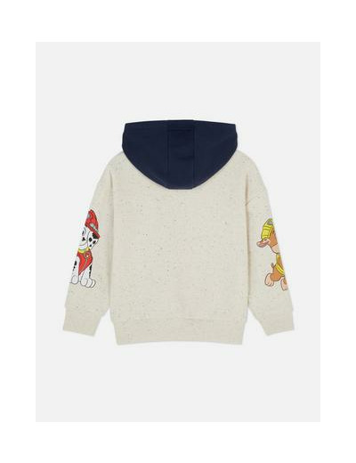 Sweat à capuche graphique PAW Patrol