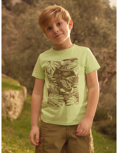 T-shirt Dinosaure