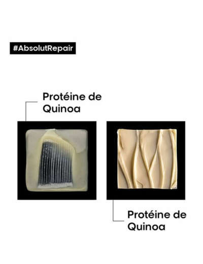 Duo rituel restructurant intense Absolut Repair