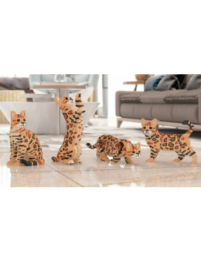 BENGAL 4 EN 1 BRUN BLOC DE CONSTRUCTION JEKCA
