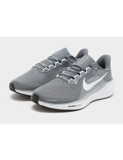 Nike Pegasus 41 Homme
