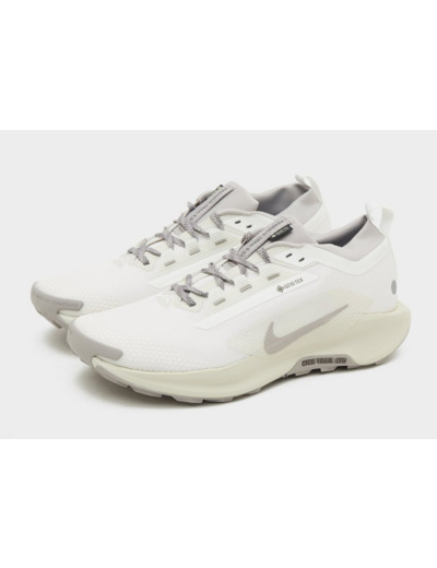 Nike Pegasus Trail 5 GORE-TEX Homme