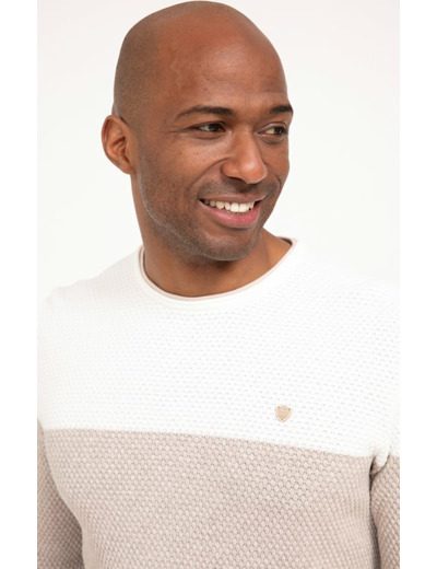 Pull col rond rayé Big