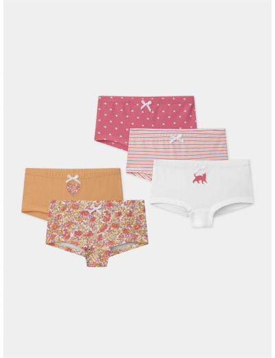 Lot de 5 culottes à rayures, imprimés ou uni Fille