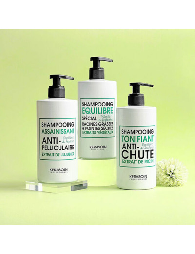 Shampooing assainissant anti-pelliculaire