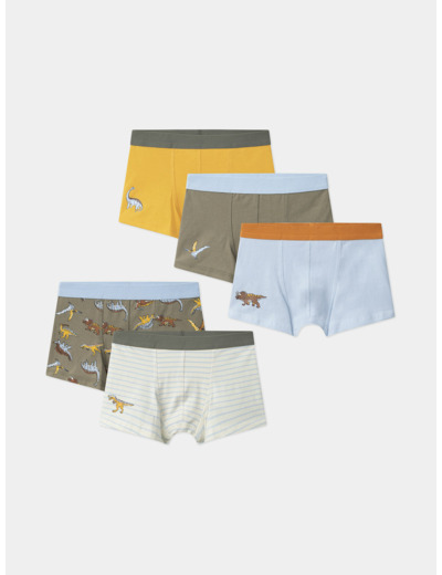 Lot de 5 boxers Dino  en jersey