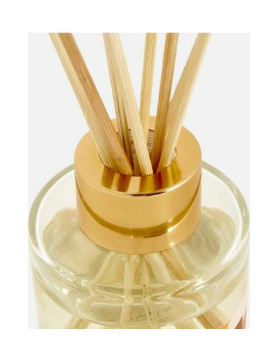 Diffuseur de parfum à bâtonnets