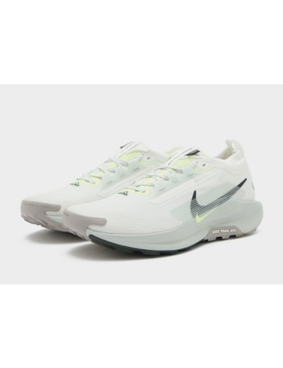 Nike Pegasus Trail 5 GORE-TEX Homme