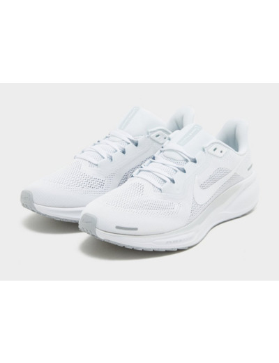 Nike Pegasus 41 Homme