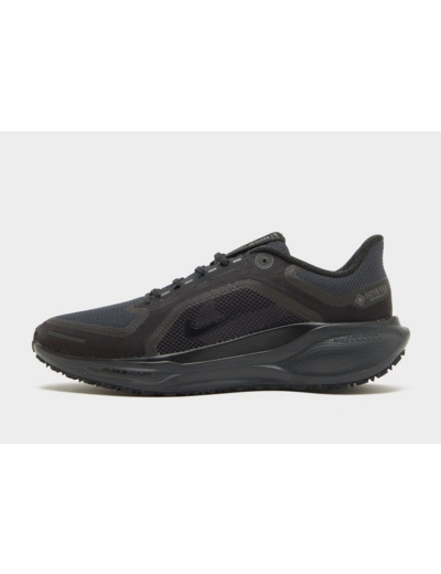 Nike Pegasus 41 GORE-TEX Homme
