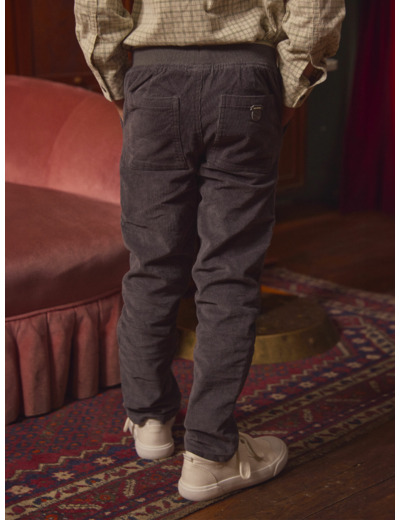 Pantalon Gris en Velours