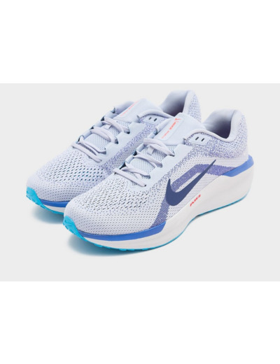 Nike Winflo 11 Homme