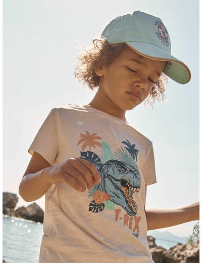 Casquette turquoise en twill à motif dinosaure