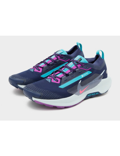 Nike Chaussures de trail Pegasus Trail 5 GORE-TEX® Homme