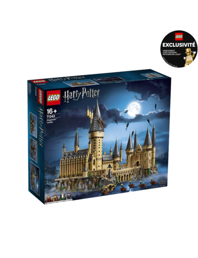 LE CHÂTEAU DE POUDLARD™ LEGO HARRY POTTER 71043