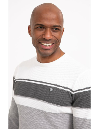 Pull col rond rayé Abeille