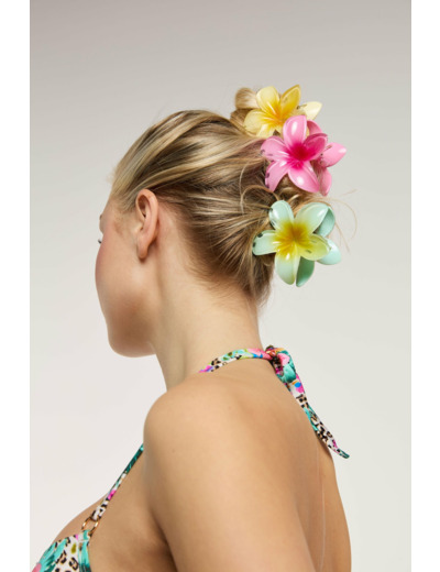 Barrette à cheveux