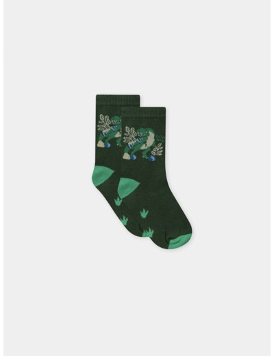 Chaussettes vertes foncées dinosaure Garçon