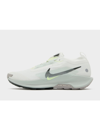 Nike Pegasus Trail 5 GORE-TEX Homme