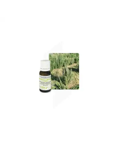 Huile Essentielle Romarin Cineol Pranarom 10 Ml