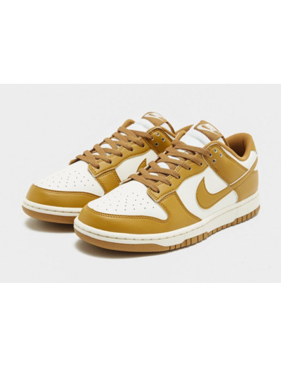 Nike Dunk Low Retro Homme