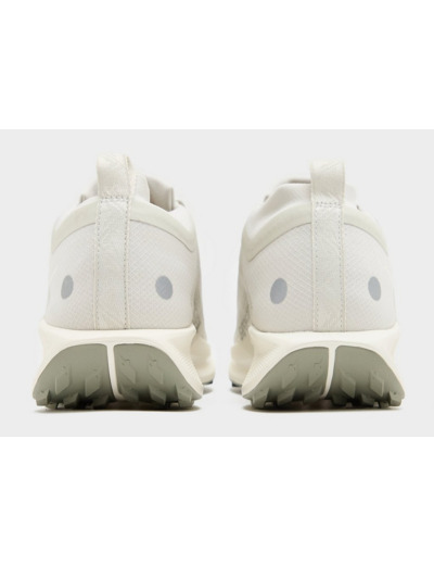Nike Pegasus Trail 5 GORE-TEX Homme