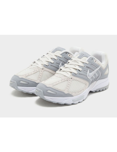 Nike Pegasus 2K5 Homme