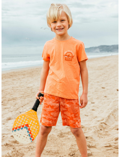 Ensemble Plage Requin
