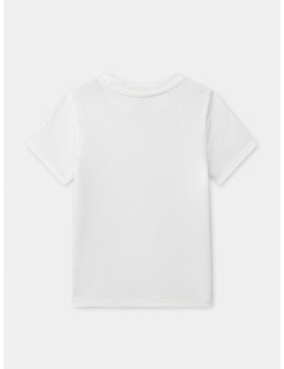 Lot de 2 t-shirts à rayures ou blanc uni Garçon