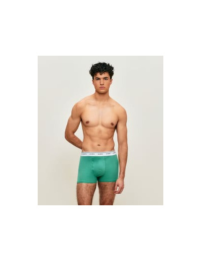 Boxer en coton vert
