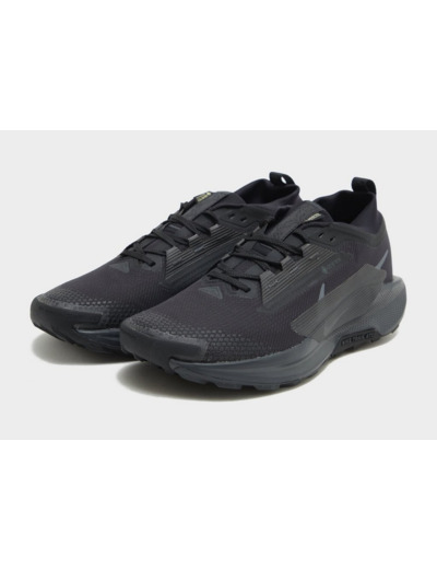 Nike Pegasus Trail 5 GORE-TEX Homme