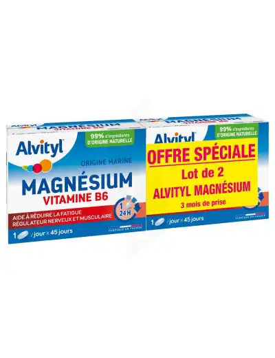 Alvityl Magnésium Vitamine B6 Libération Prolongée Comprimés Lp 2 Boîtes De 45