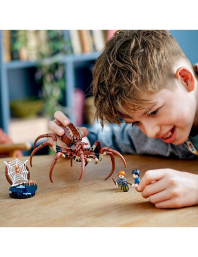 ARAGOG DANS LA FORÊT INTERDITE LEGO HARRY POTTER 76434