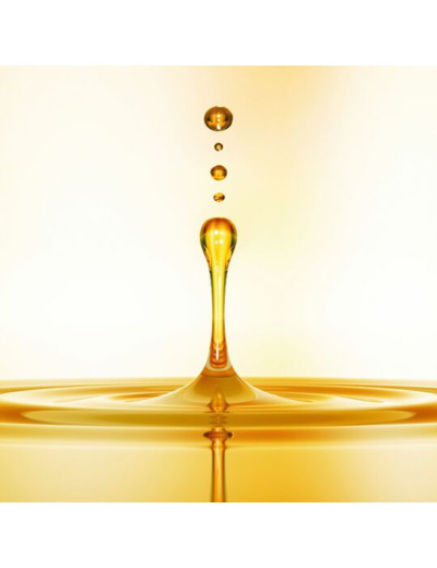 Élixir d'huile d'argan Orofluido 100ml