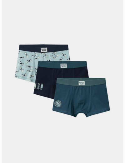 Lot de 3 boxers skate en jersey