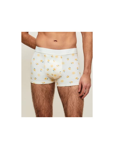 Boxer en coton motifs citrons