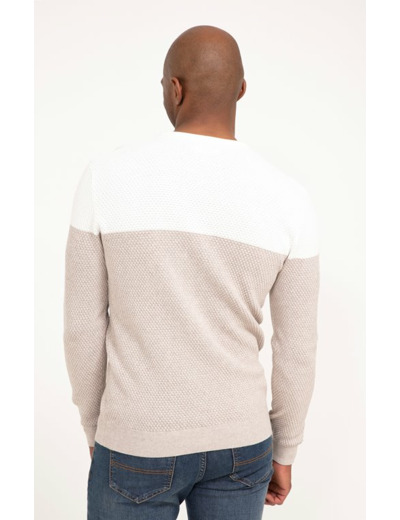 Pull col rond rayé Big