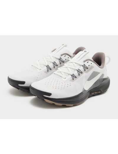 Nike Pegasus Trail 5 Homme
