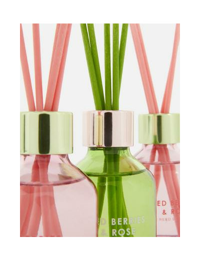 Lot de 3 mini diffuseurs à bâtonnets