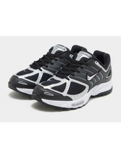 Nike Air Pegasus 2005