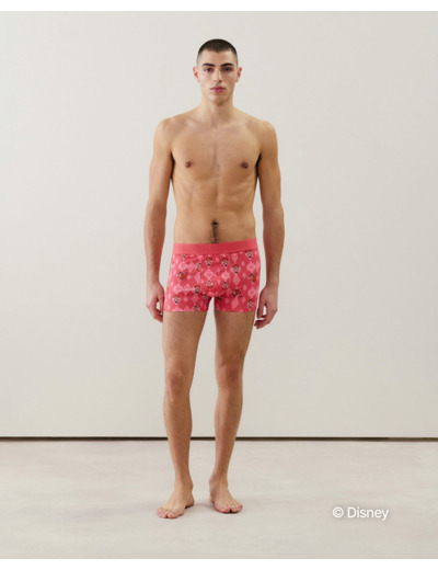 Boxer en microfibre à motifs Pumba