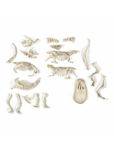 ARCHEO LUDIC TREX ET TRICERATOPS