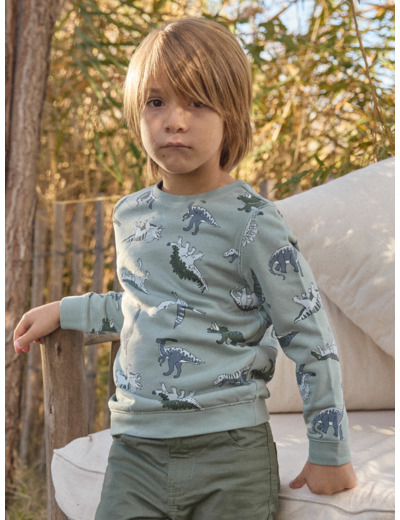 Sweat-Shirt Dinosaures