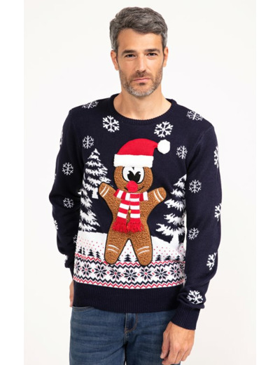 Pull de Noël Biscuit