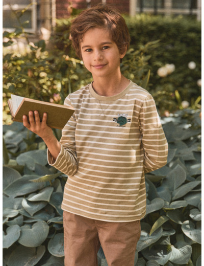 T-shirt vert pâle à rayures blanc et patch dinosaure en manches longues Garçon