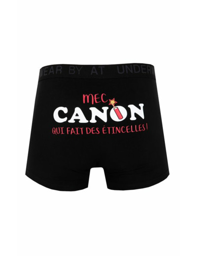 Boxer Canon